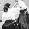 AikidoNoyellesLesSeclin0026