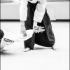 AikidoNoyellesLesSeclin0028