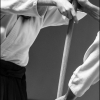 AikidoNoyellesLesSeclin0095