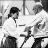 AikidoNoyellesLesSeclin0114