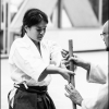 AikidoNoyellesLesSeclin0117