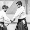 AikidoNoyellesLesSeclin0118