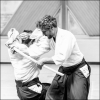 AikidoNoyellesLesSeclin0121