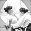 AikidoNoyellesLesSeclin0132
