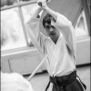 AikidoNoyellesLesSeclin0171