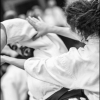 Aikido Noyelles les Seclin0003