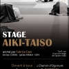 Aikido Noyelles les Seclin