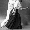 AikidoNoyellesLesSeclin0004