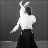 AikidoNoyellesLesSeclin0009