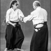 AikidoNoyellesLesSeclin0014