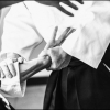 AikidoNoyellesLesSeclin0001