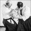 AikidoNoyellesLesSeclin0006