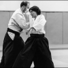 Aikido Noyelles les Seclin