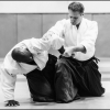 Aikido Noyelles les Seclin
