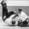 Aikido Noyelles les Seclin
