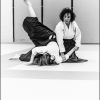 AikidoNoyellesLesSeclin-13