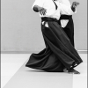 AikidoNoyellesLesSeclin-19