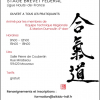 AikidoNoyellesLesSeclin