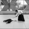 Aikido Noyelles les Seclin - 0022