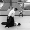 Aikido Noyelles les Seclin - 0023