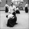Aikido Noyelles les Seclin - 0027