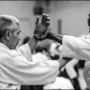 Aikido Noyelles les Seclin - 0050