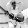 Aikido Noyelles les Seclin0017