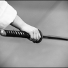 Aikido Noyelles les Seclin0030