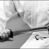 Aikido Noyelles les Seclin0038