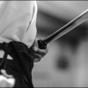 Aikido Noyelles les Seclin0048