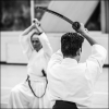Aikido Noyelles les Seclin0054