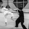 Aikido Noyelles les Seclin 0005