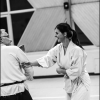 Aikido Noyelles les Seclin 0033