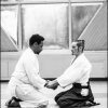 AikidoNoyellesLesSeclin0005