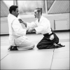 AikidoNoyellesLesSeclin0006