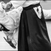 AikidoNoyellesLesSeclin0014