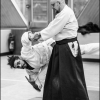 AikidoNoyellesLesSeclin0015