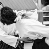 AikidoNoyellesLesSeclin0023