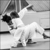 AikidoNoyellesLesSeclin0034