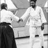 AikidoNoyellesLesSeclin0037