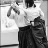 AikidoNoyellesLesSeclin0042