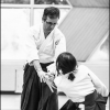 AikidoNoyellesLesSeclin0044