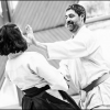 AikidoNoyellesLesSeclin0061