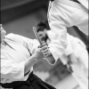 AikidoNoyellesLesSeclin0085