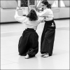 AikidoNoyellesLesSeclin0091