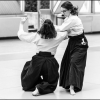 AikidoNoyellesLesSeclin0093