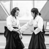 AikidoNoyellesLesSeclin0098