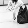 AikidoNoyellesLesSeclin0101