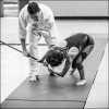 AikidoNoyellesLesSeclin0104