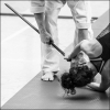 AikidoNoyellesLesSeclin0105